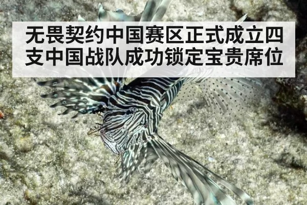 无畏契约中国赛区正式成立四支中国战队成功锁定宝贵席位