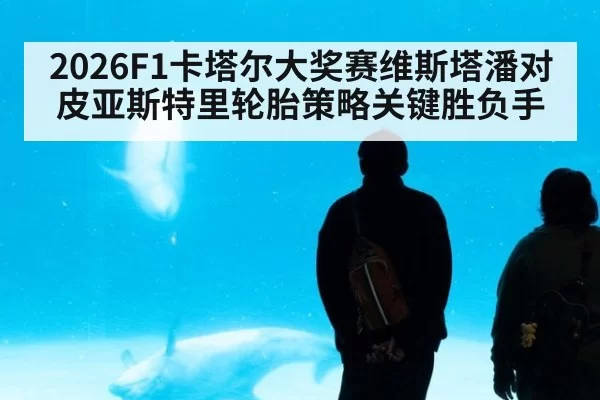 2026F1卡塔尔大奖赛维斯塔潘对皮亚斯特里轮胎策略关键胜负手